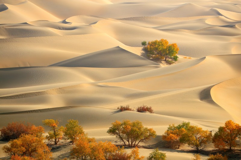 8-Day Silk Road Discovery Tour